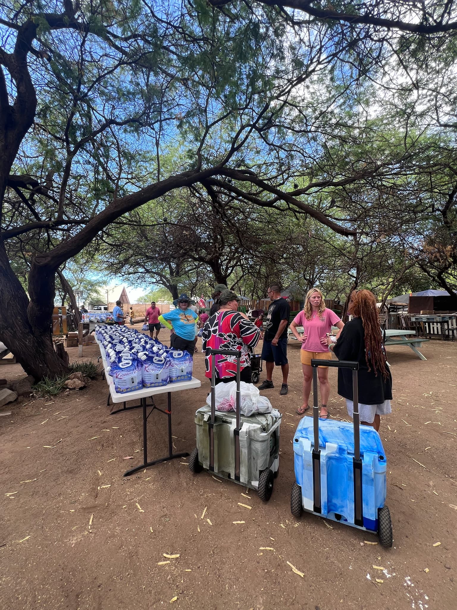 Customer Testimonial